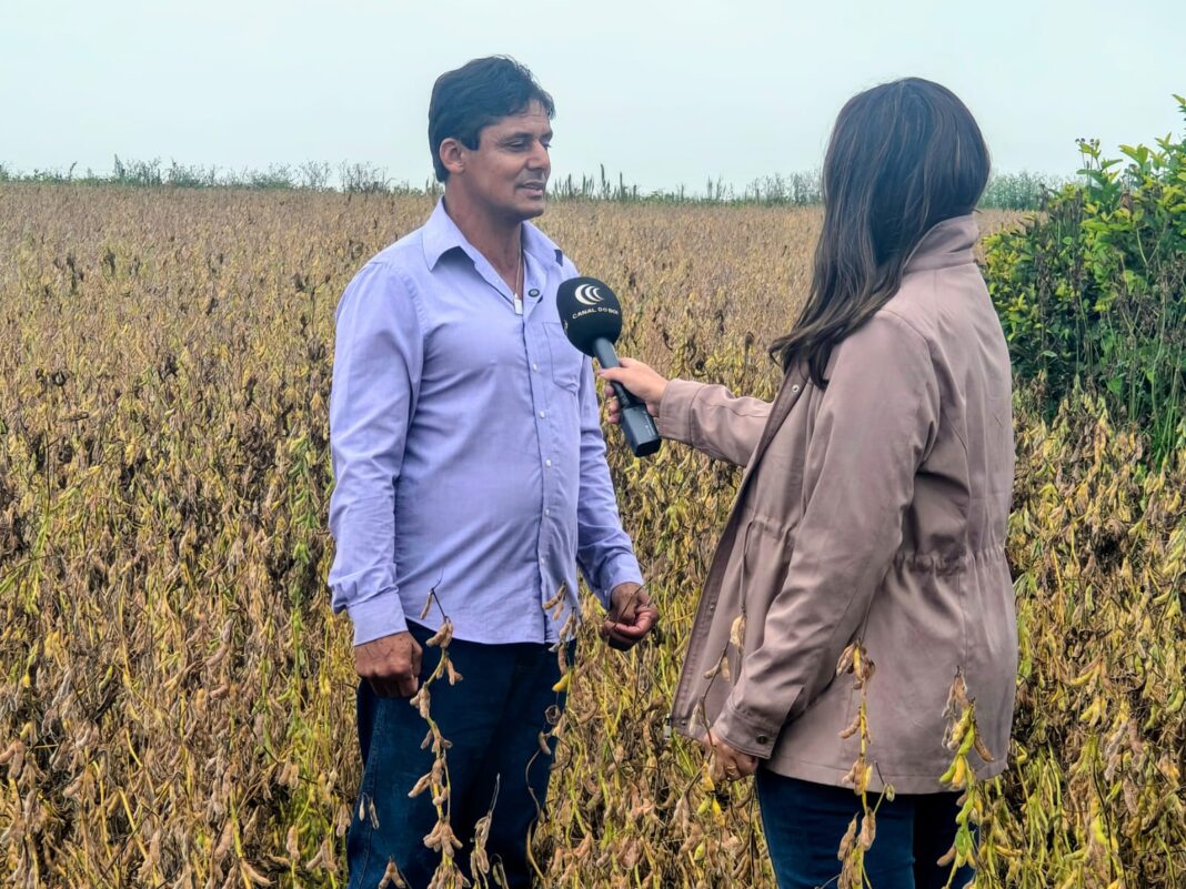 prefeito entrevista canal do boi
