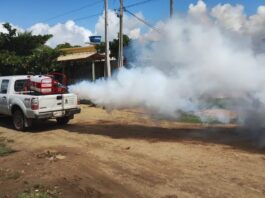 Semusa reforça ações de combate à dengue em Bandeirantes, população deve continuar com os cuidados